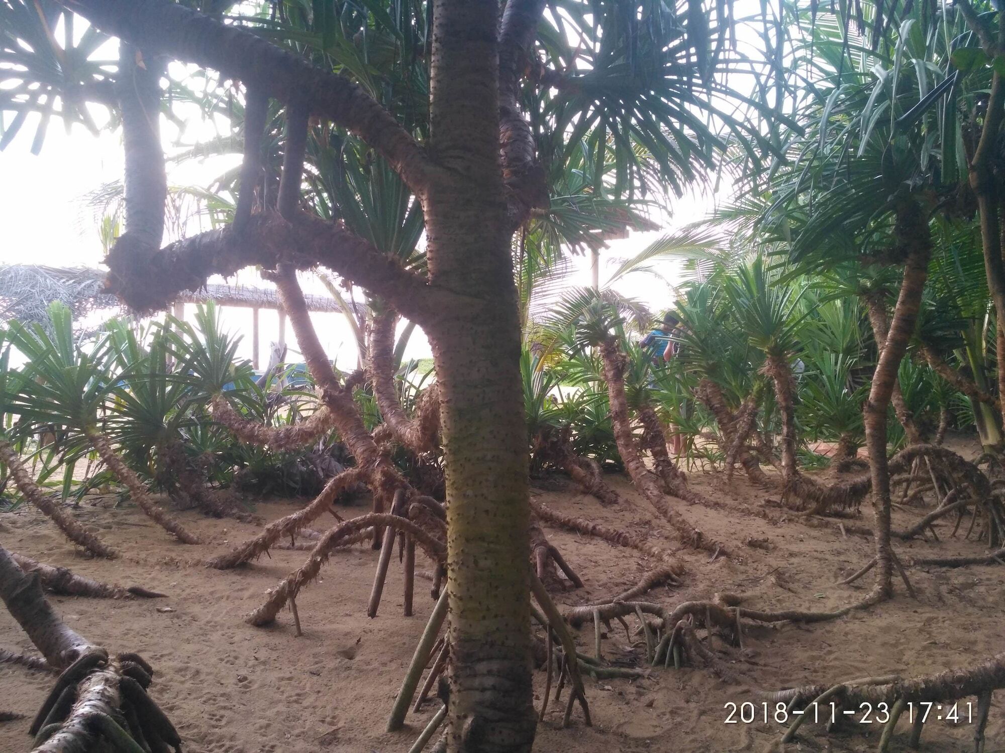 Ravana - Beach Cabanas ฮิกคาดูวา ภายนอก รูปภาพ